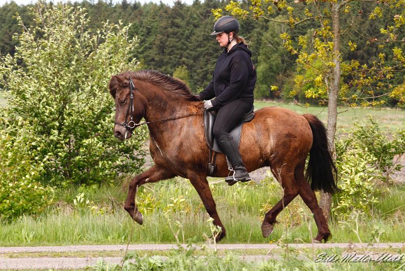 _MG_2129 a.jpg - Elding von Heidmoor